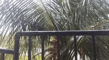 Arteduro GIF