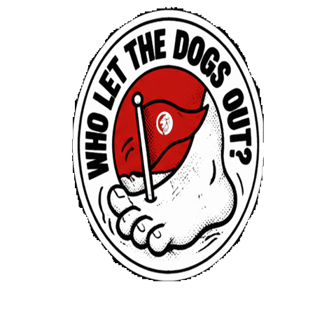 Red Flag Sticker by ROAR Active