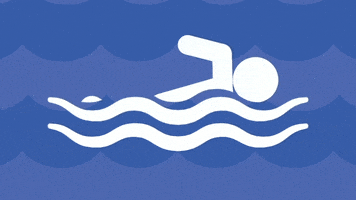 Pool Swimming GIF by Ministère des Sports