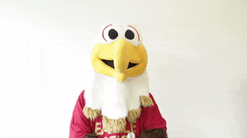 Excited Great Job GIF by Bridgewater College