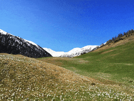 livigno  GIF