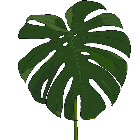 Summer Plant Sticker