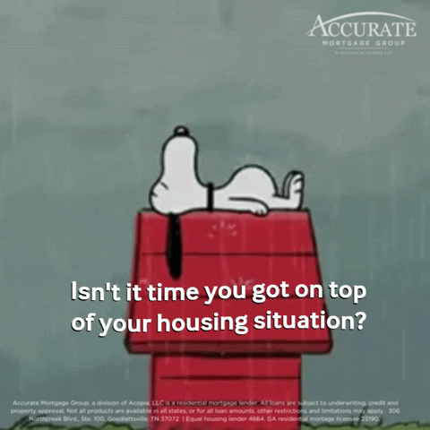 Housing Market Cartoon GIF by Accurate Mortgage Group