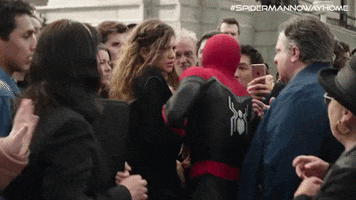 Tom Holland Crowd GIF by Spider-Man