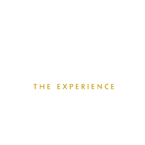 Film Cinema Sticker by Notorious Cinemas