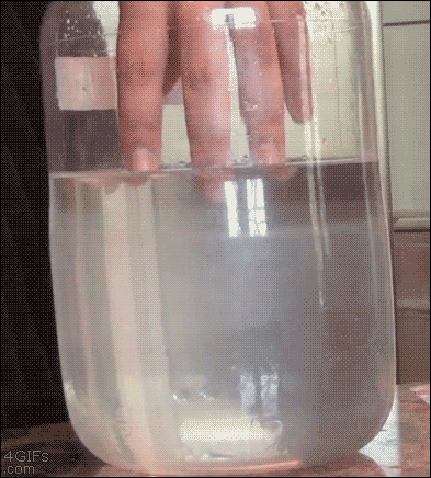 fingers