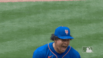 Excited Lets Go GIF by New York Mets