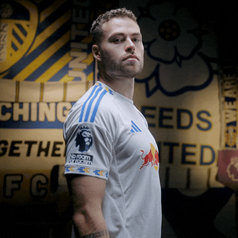 Premier League Sweden GIF by Leeds United