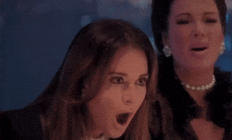 Real Housewives GIF