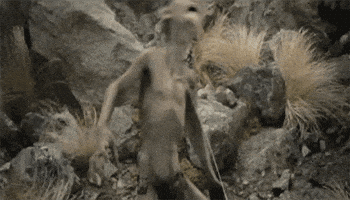 lord of the rings GIF