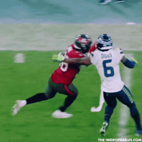 Tampa Bay Nfl GIF by The Undroppables