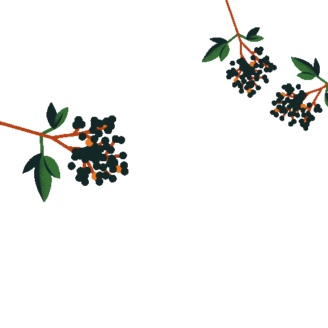 Handsome Brook Farms Sticker