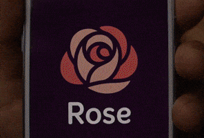 Rose GIF by petahouseart