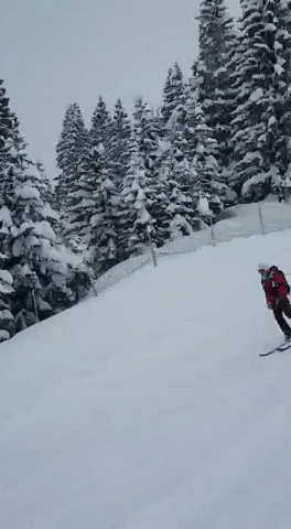 Fail GIF