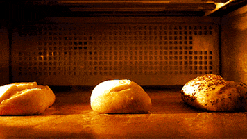 Bread GIFs - Find & Share on GIPHY