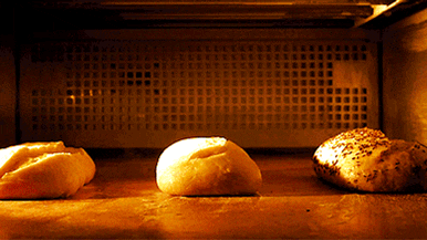  bread GIF