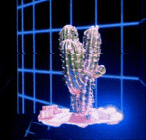 Alanchac GIF