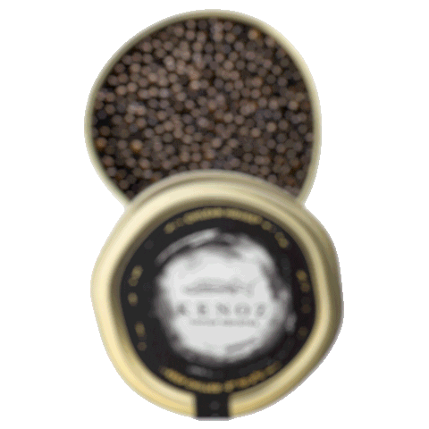 Seafood Gourmet Sticker by Kenoz