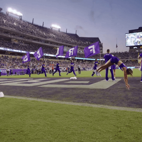 Flags Frogs GIF by TCU Football