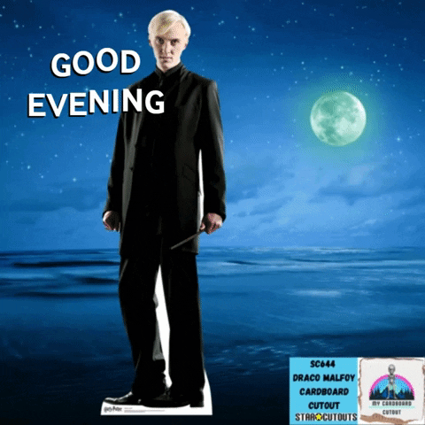 Draco Malfoy Good Evening GIF by STARCUTOUTSUK