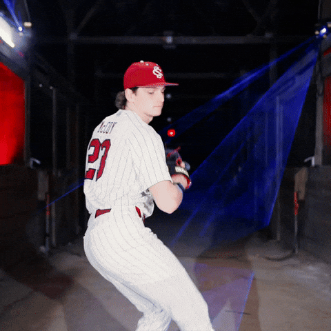 Home Run Celebration GIF by Gamecock Athletics