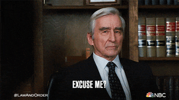 Excuse Me Reaction GIF by Law & Order