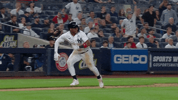 200.gif?cid=fc005b088c205f93c33610d75c5dc0f840ff683a8e7035d2&rid=200.gif&ct=g