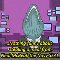neal mcbeal the navy