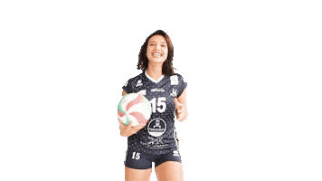 MarcqVolley Sticker