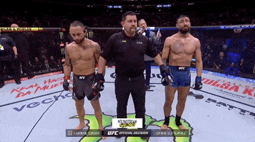Frankie Edgar Sport GIF by UFC