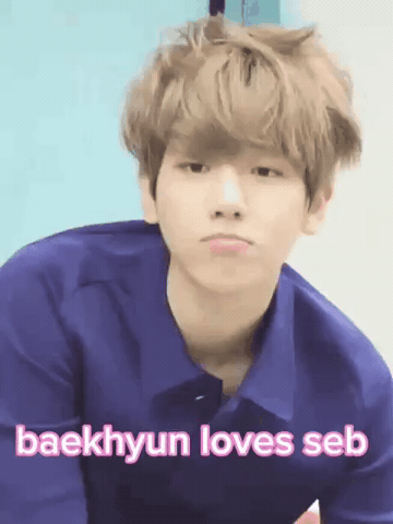 Sebbaek GIF