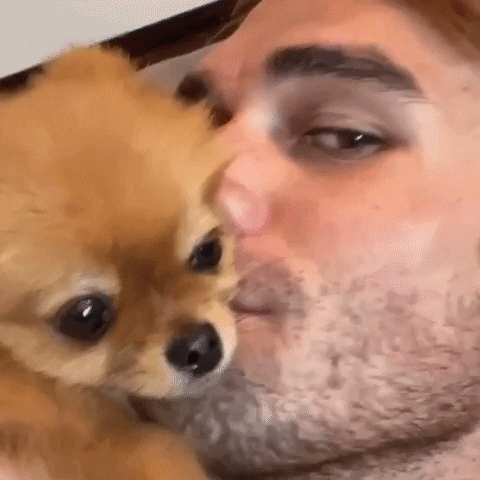 giphy.gif?cid=5e2148864bcf9e099435e741ec8760a04660628cdf9d2d34&rid=giphy.gif&ct=g