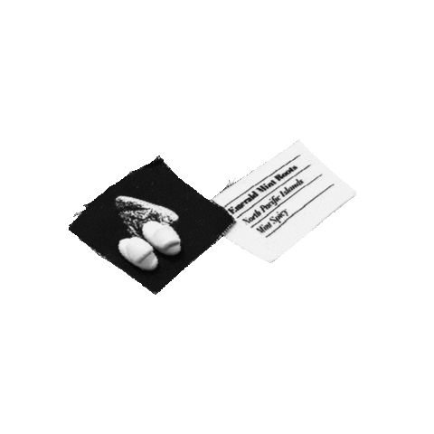 panopticon Sticker