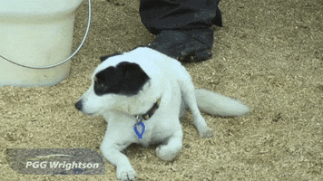 PGG Wrightson Retail & Water GIF