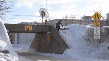 flip out espn GIF by X Games 