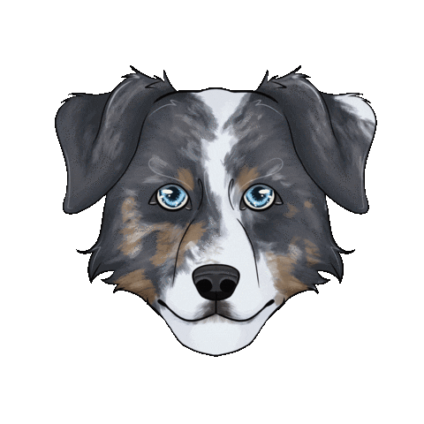 Dog Chien Sticker