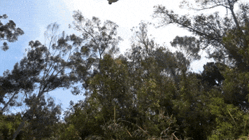 Rocco Botte Falling GIF by Mega64