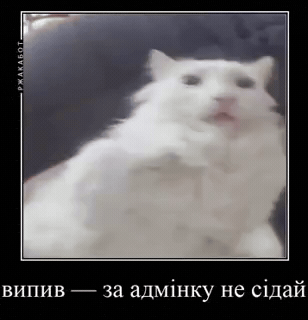 Pepelaugher GIF
