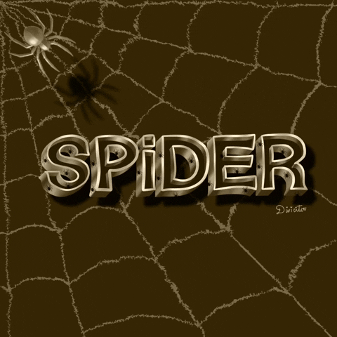 Halloween Spider GIF