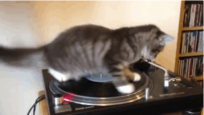 Vinyl GIF - Find & Share on GIPHY