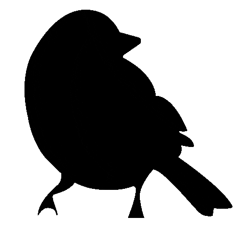 Black Bird Design Sticker