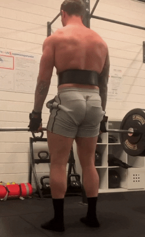 giphy.gif