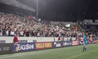 steve clark applause GIF by D.C. United