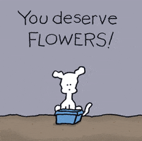 i love you flowers GIF by Chippy the Dog