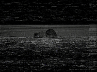 Vhs Static GIFs - Find & Share on GIPHY