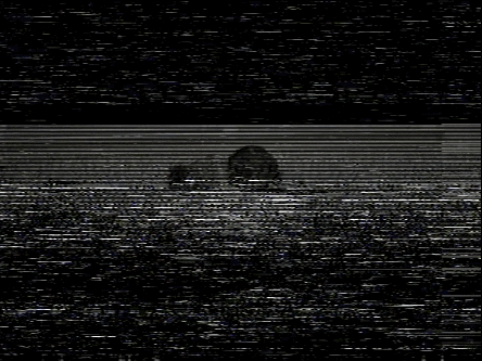 Featured image of post Aesthetic Vhs Overlay Gif The best gifs are on giphy