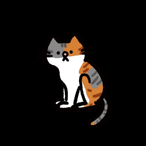 Cat Meow Sticker - Cat Meow Angry Cat - Discover & Share GIFs
