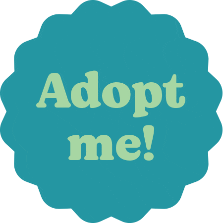 Adopt Sticker by Three Little Pitties Rescue