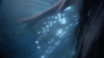 enchanted forest GIF by Nothing