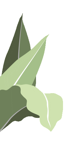 Green Sticker by Flower Farm